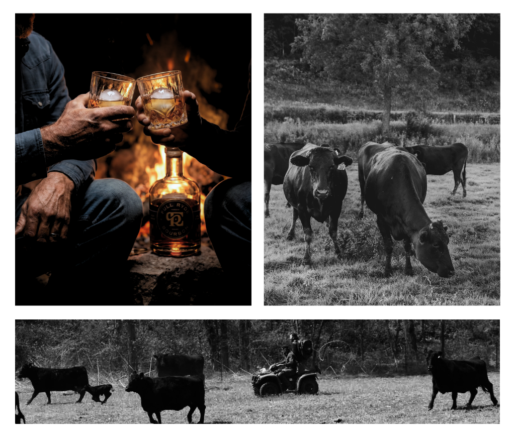 A black and white collage showing outdoor scenes: a close-up of hands clinking glasses around a bottle of whiskey, a herd of cows in a pasture, and cows with a tractor in a rural landscape.