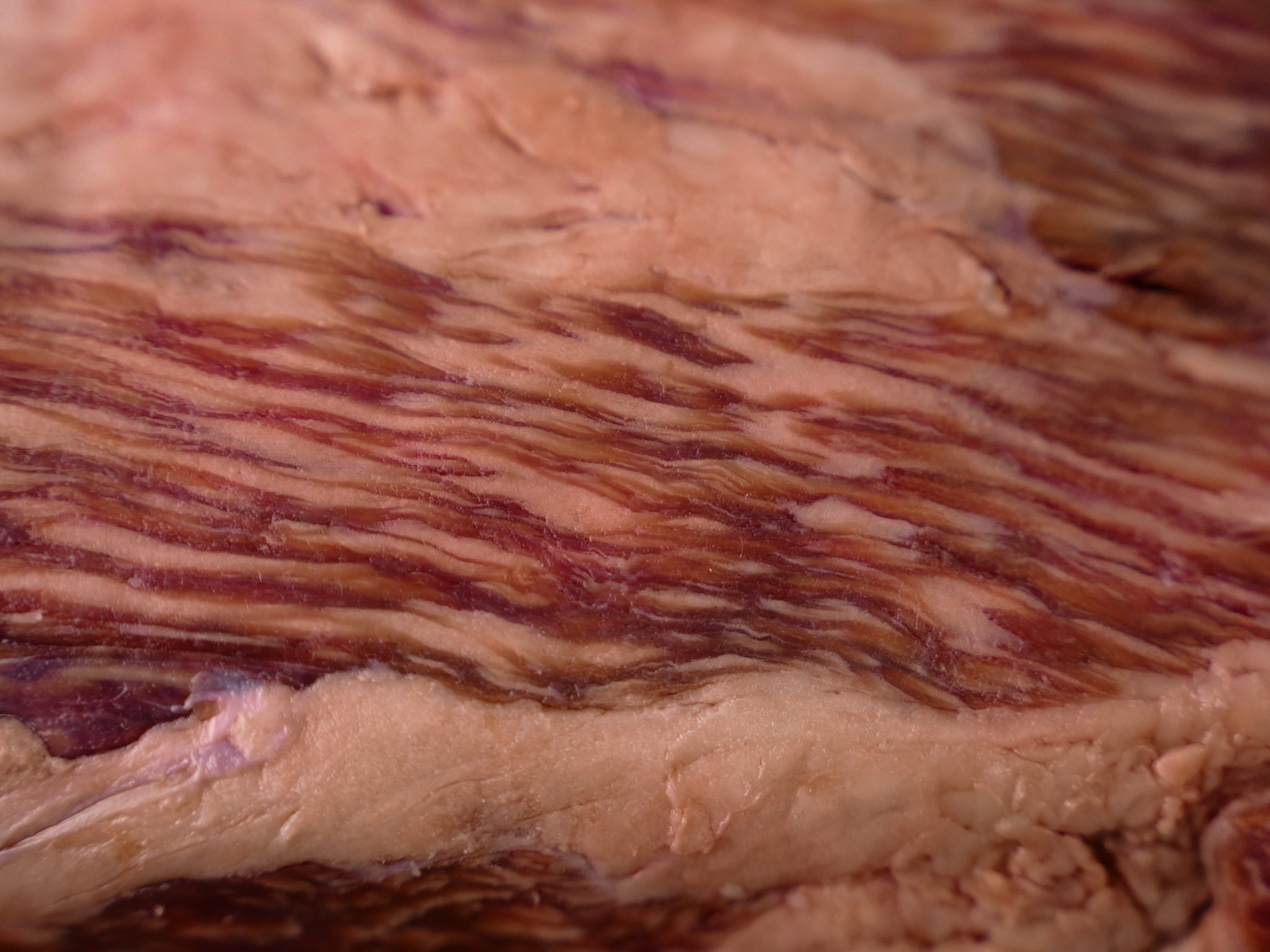 Beef Sirloin Tri Tip Roast