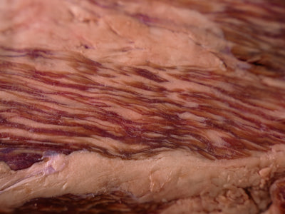 Beef Sirloin Tri Tip Roast